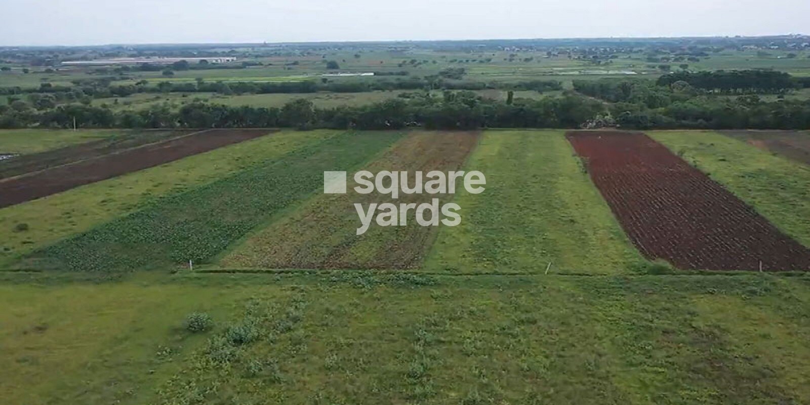 Akshita Inspiring Edge