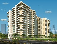 Amigo United Avenues Tower View