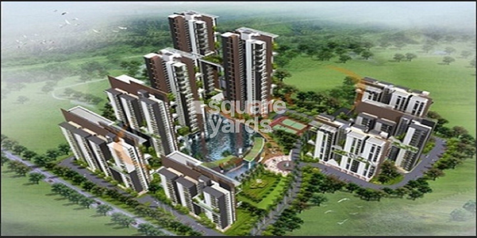 Amsri Cygne Featured Image