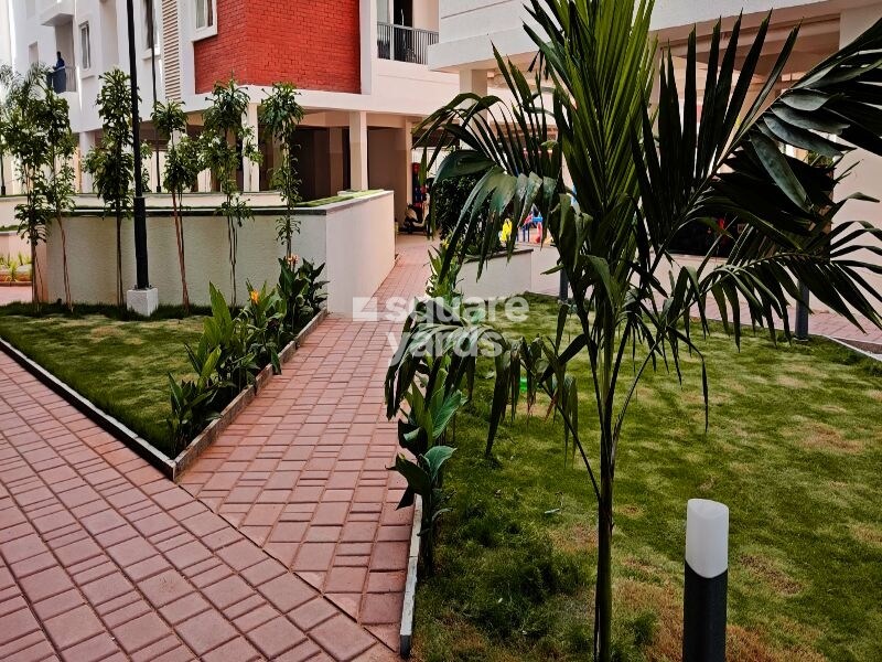 Ananda Poe Tree Extension