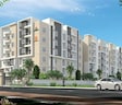 Anusha Begonia Homes