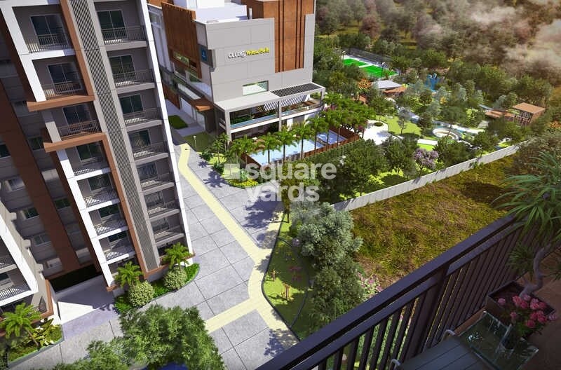 Aparna Kanopy Yellow Bells