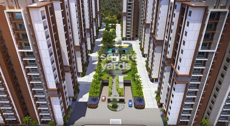 Aparna Kanopy Yellow Bells