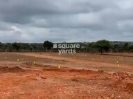 Arising Peacock Valley Plot Images