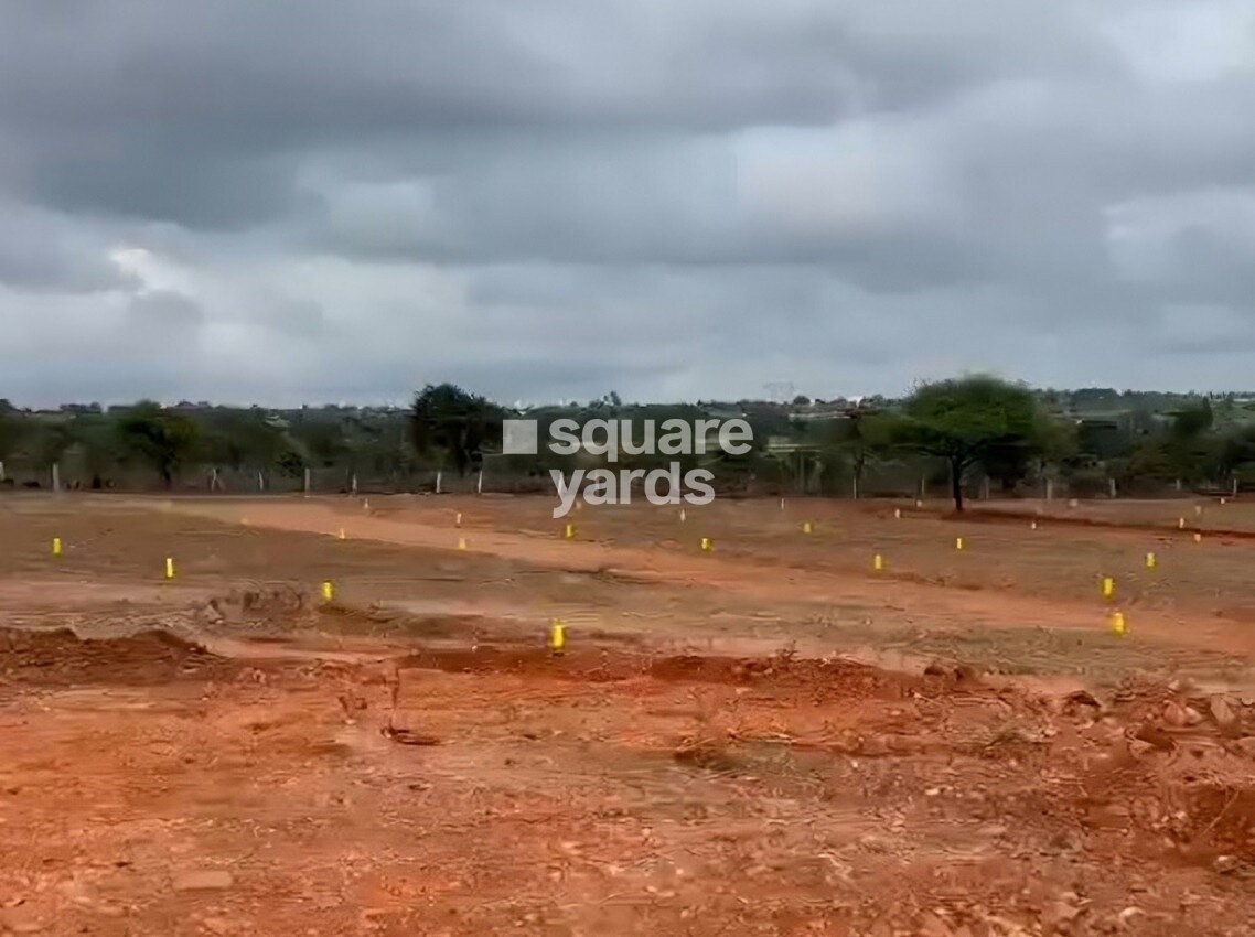 Arising Peacock Valley Plot Images 1