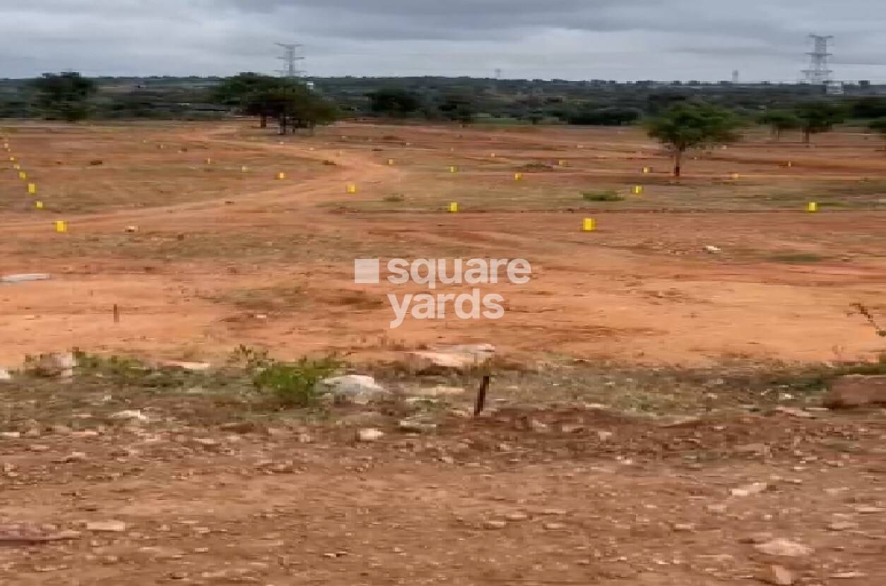 Arising Peacock Valley Plot Images 2