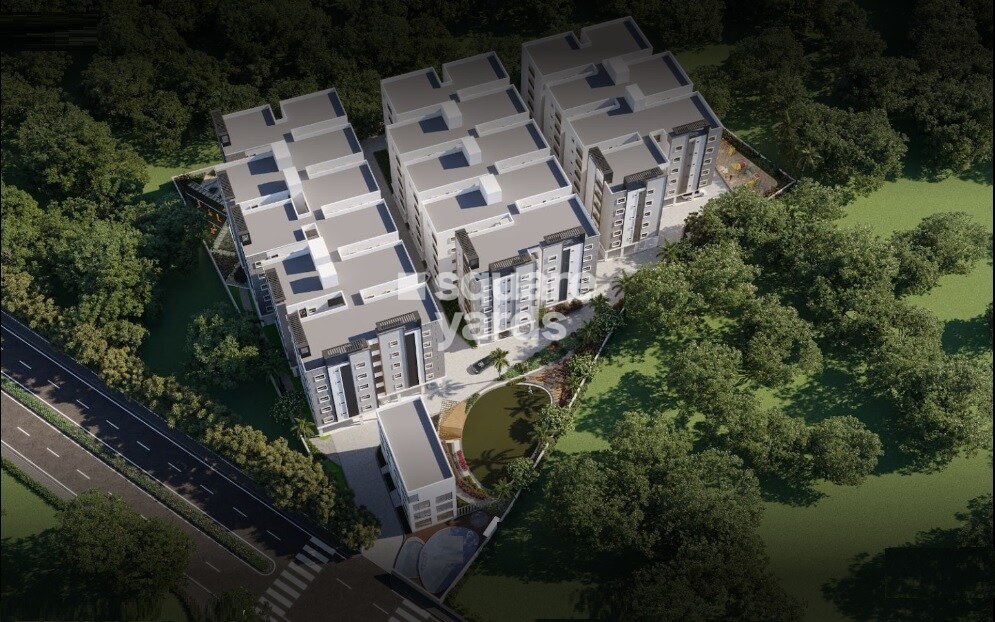 ARR Avencia Tower View