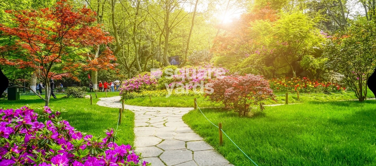 Auroland Plot Amenities-Features