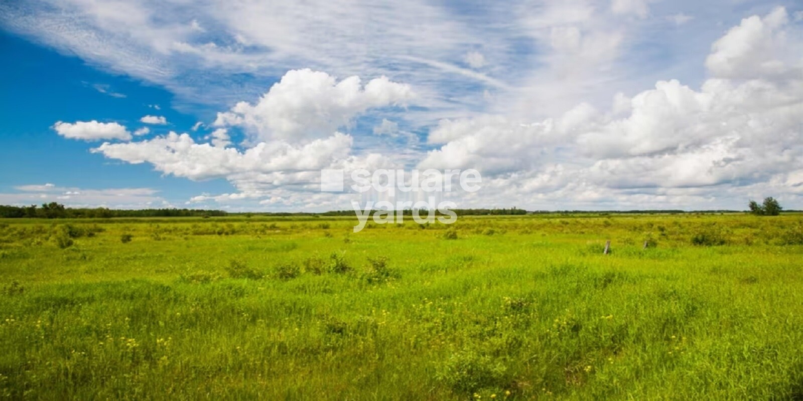 Auroland Plot residential project in Peeranchuruvu