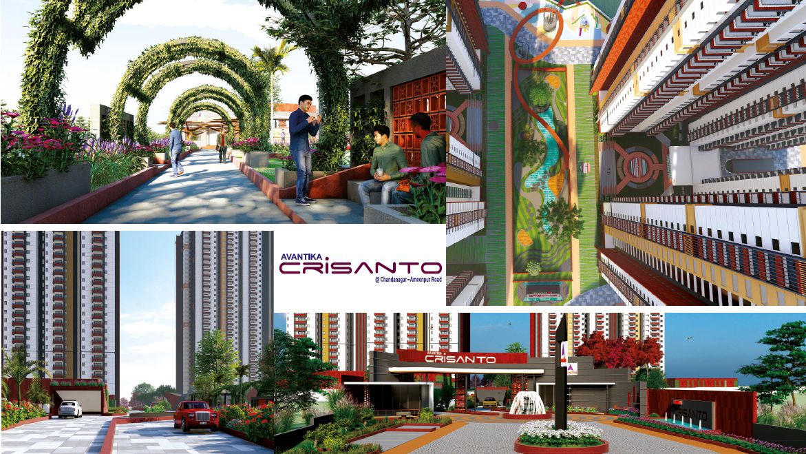 Avantika Crisanto