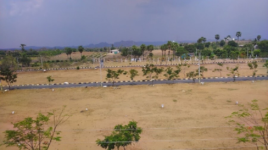 AVC Little England Plot Images 1