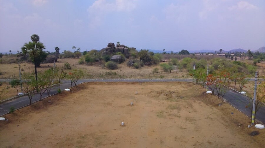 AVC Little England Plot Images 3