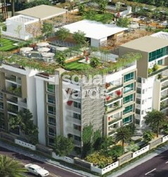 Ayyanna Pride Ayyanna Pride