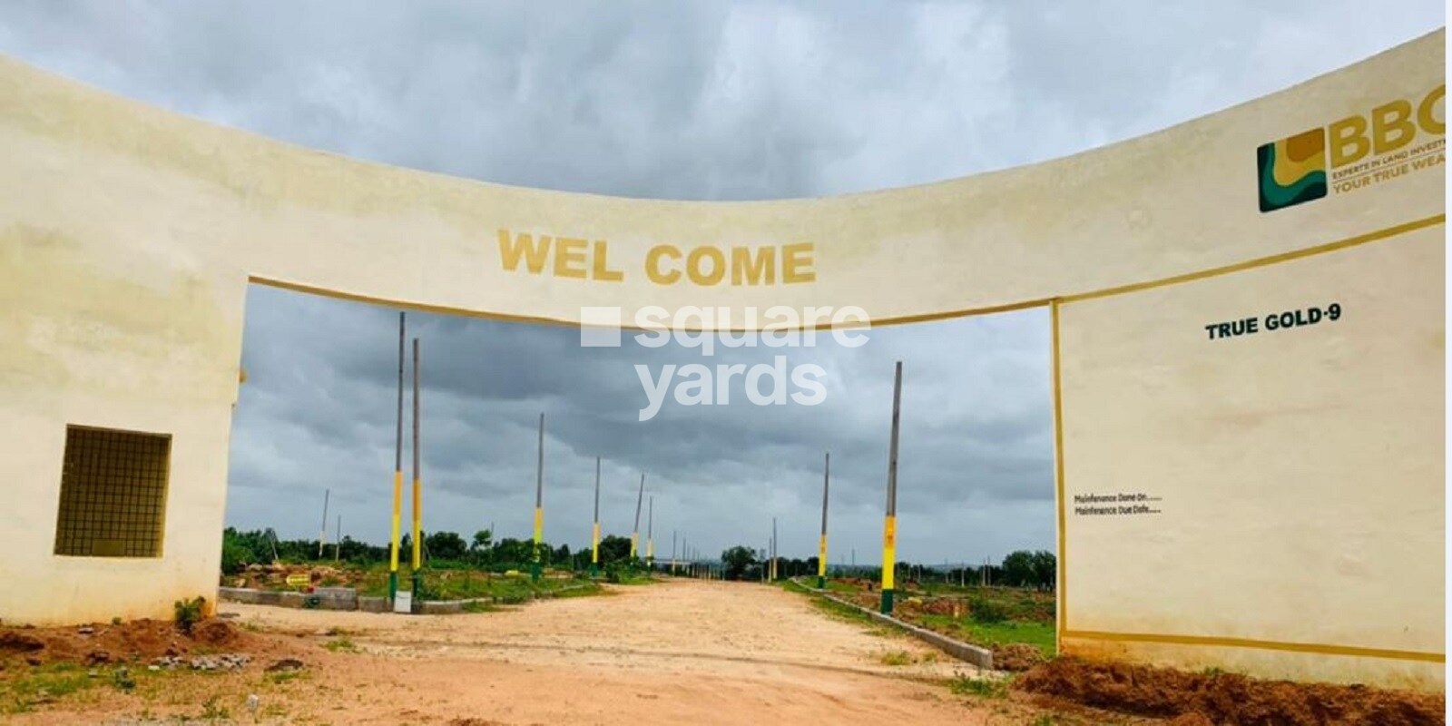 BBG True Gold Featured Image