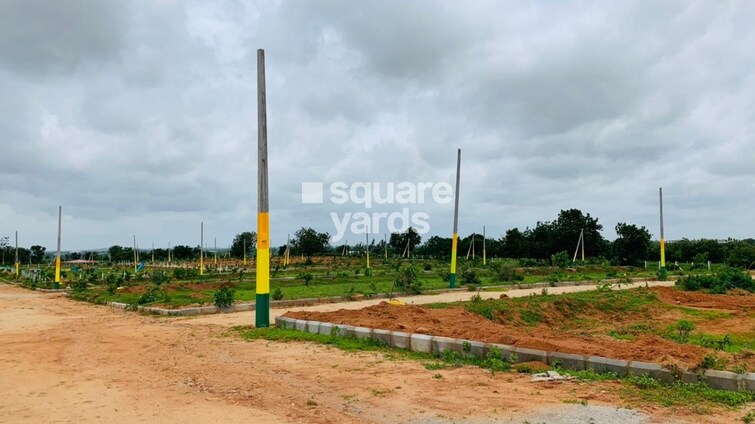 BBG True Gold Tower View 2