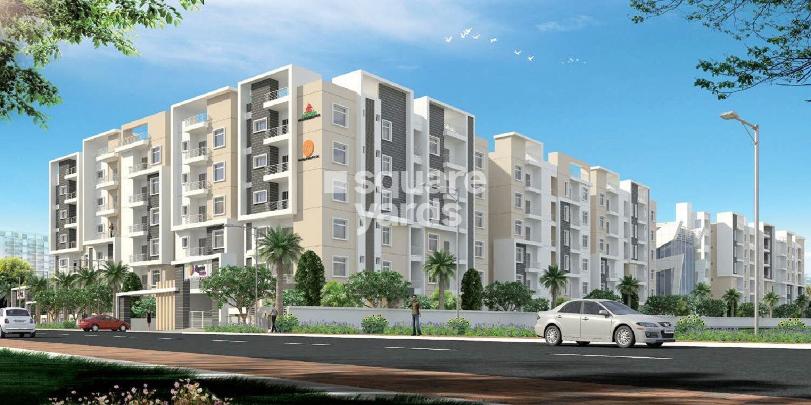 Begonia Homes