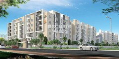 Begonia Homes