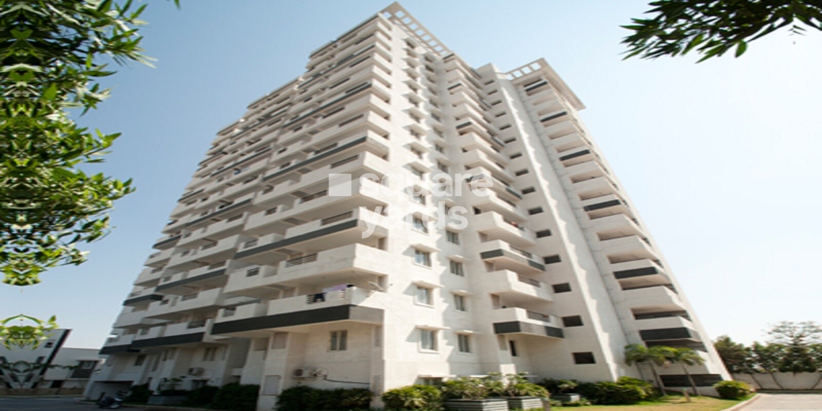 Bloomfield Elation Towers