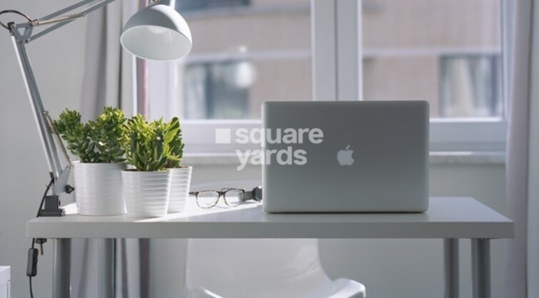 Bonsai Cedar Amenities-Features 2