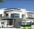 BricMor West pines