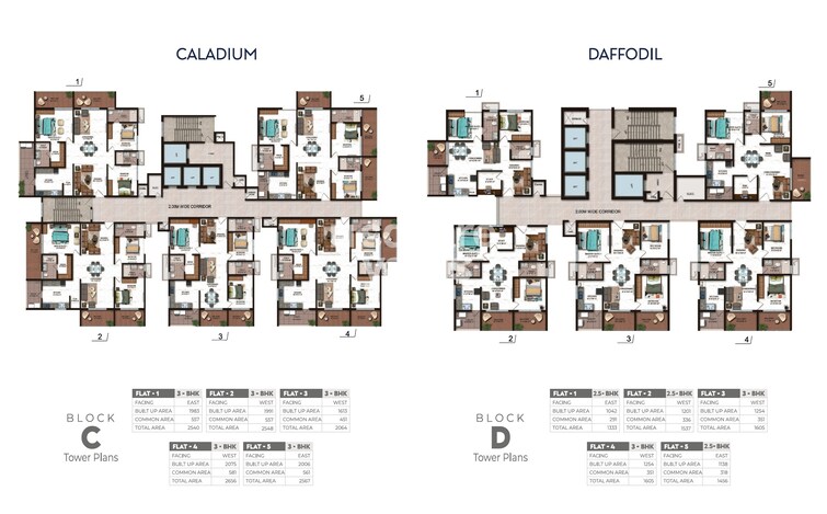 Candeur Crescent Floor Plans 3