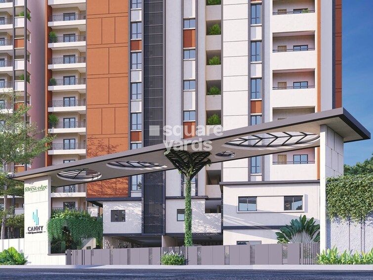 Canny Forest Edge Entrance View 1