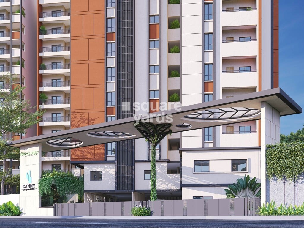 Canny Forest Edge Entrance View 1