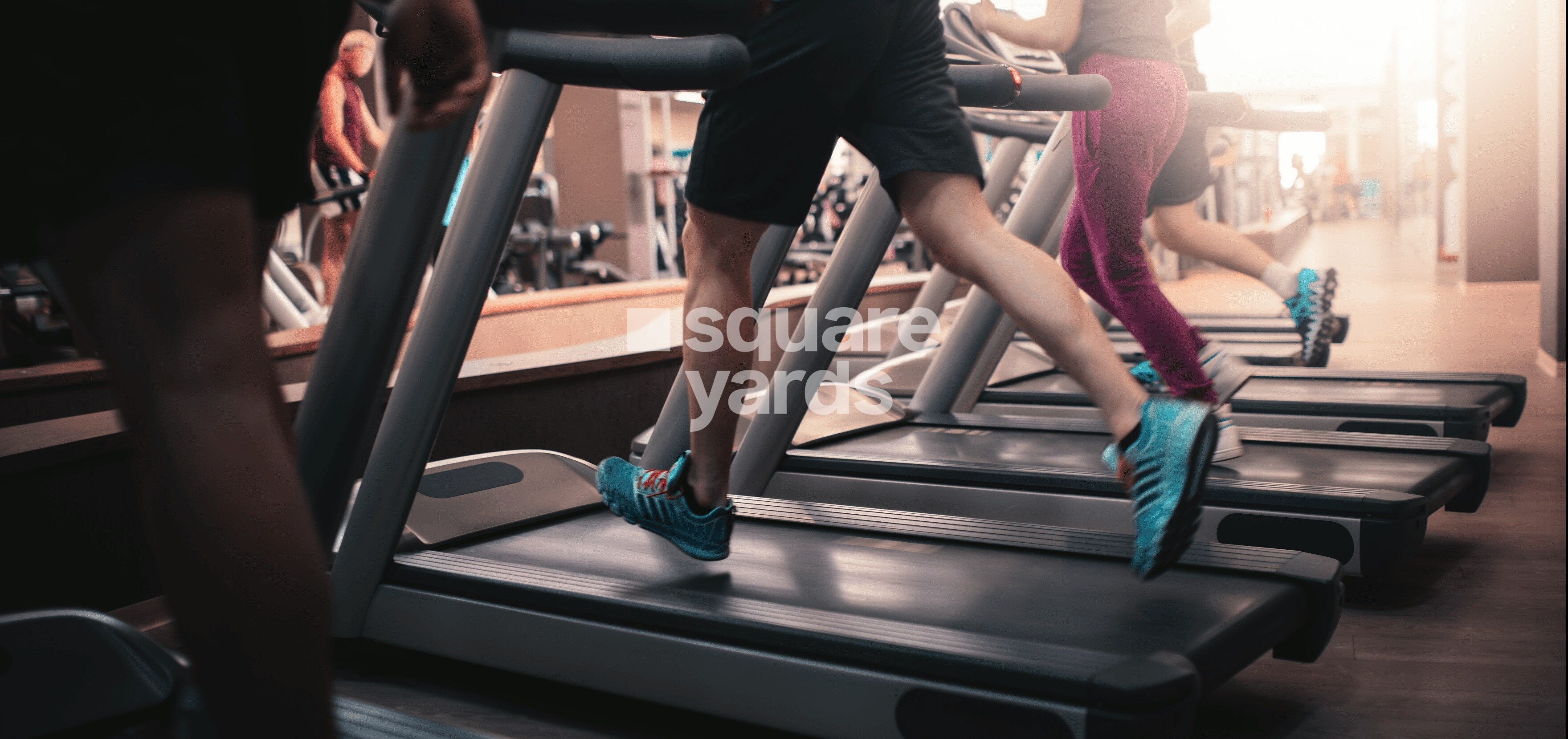 Celebrity Prime Oaks