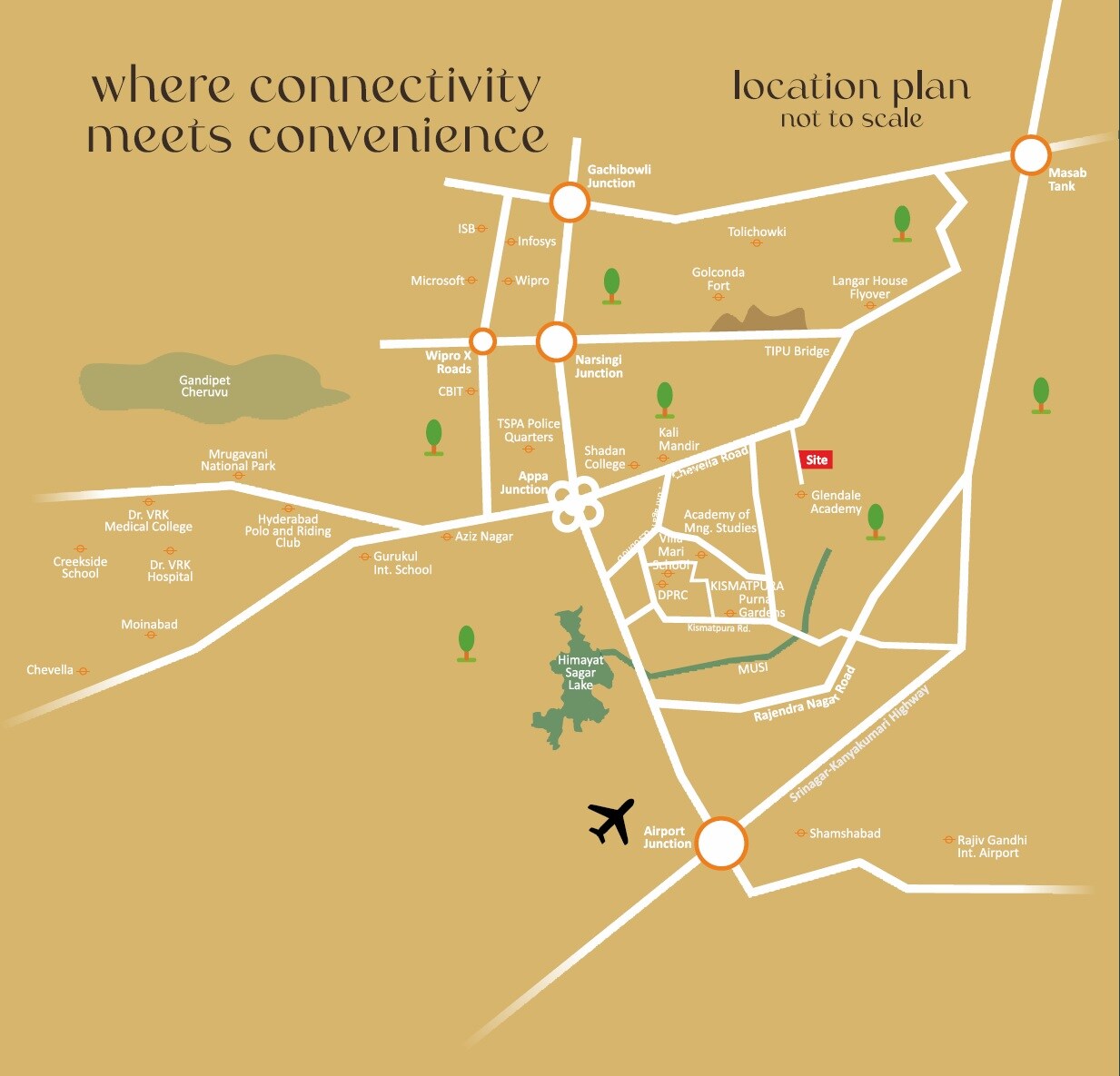 Continental Platinum Nest