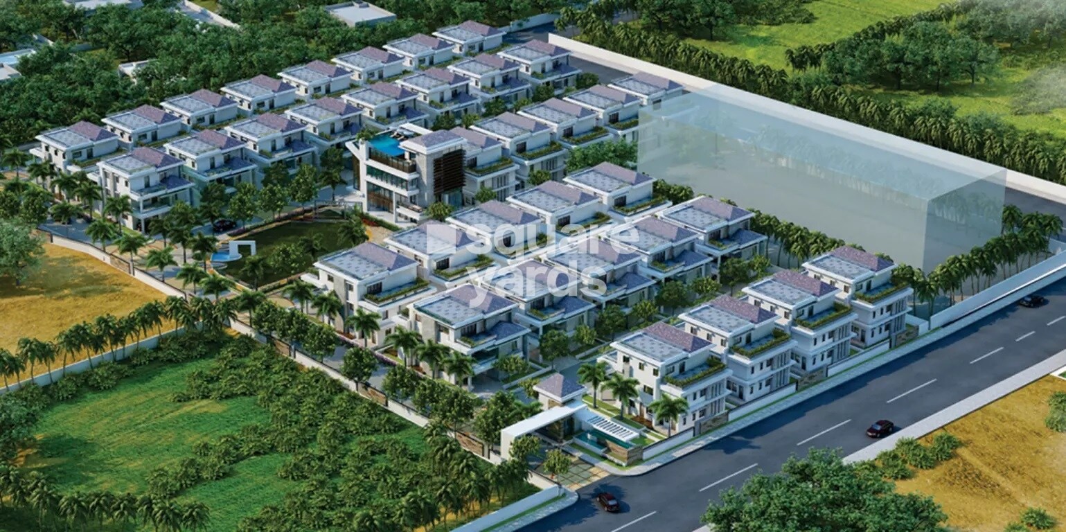 CPR Palm Ridge Tower View