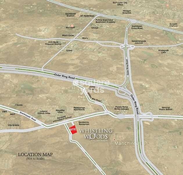 Crown Whistling Woods