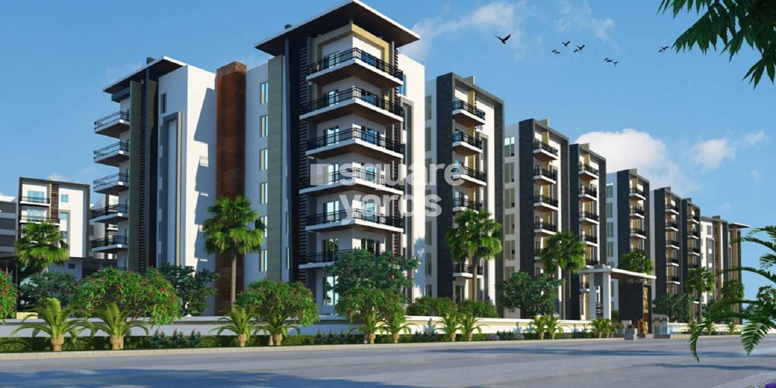 Crown Whistling Woods