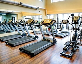 Cyber City Oriana Amenities-Features 2