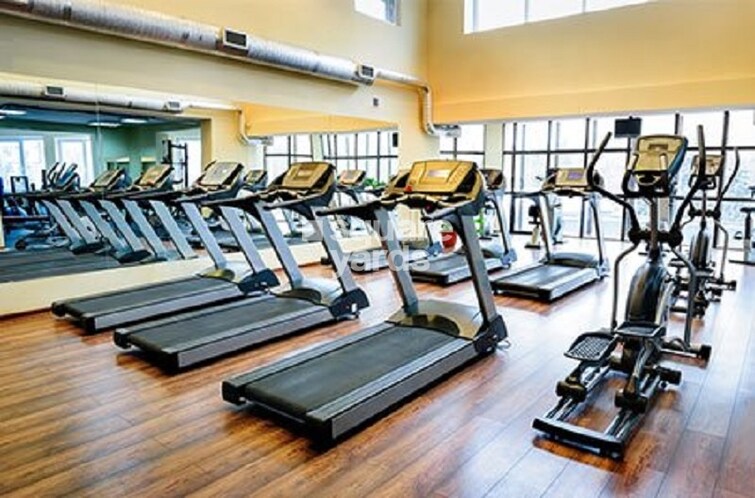 Cybercity Marina Skies Gymnasium Image