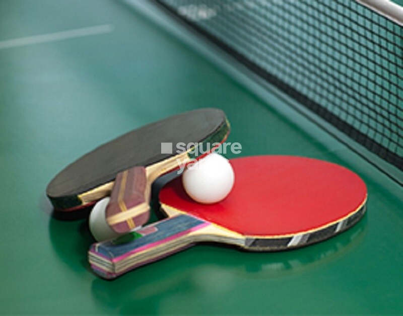 Cybercity Marina Skies Sports facilities Image 2