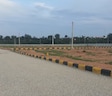 Destiny Wonder Homes