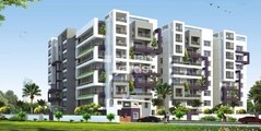 Dhana Lakshmi D Address