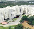 Dhivya Shree Shakthi