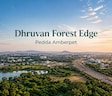 Dhruvan Forest Edge