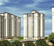 DLF New City Heights
