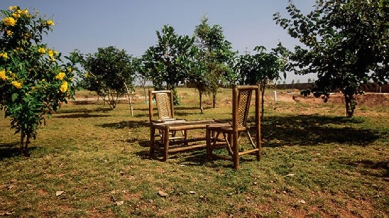 Dreamscape Eco Sphere