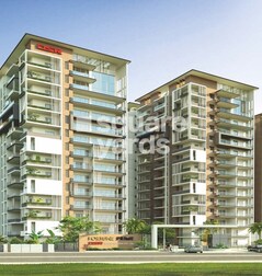 DSR Fortune Prime DSR Fortune Prime