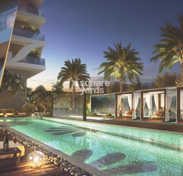 The First Amenities-Features