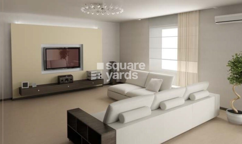 Dukes Legend Stellar