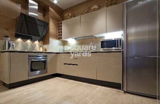 Dukes Legend Stellar