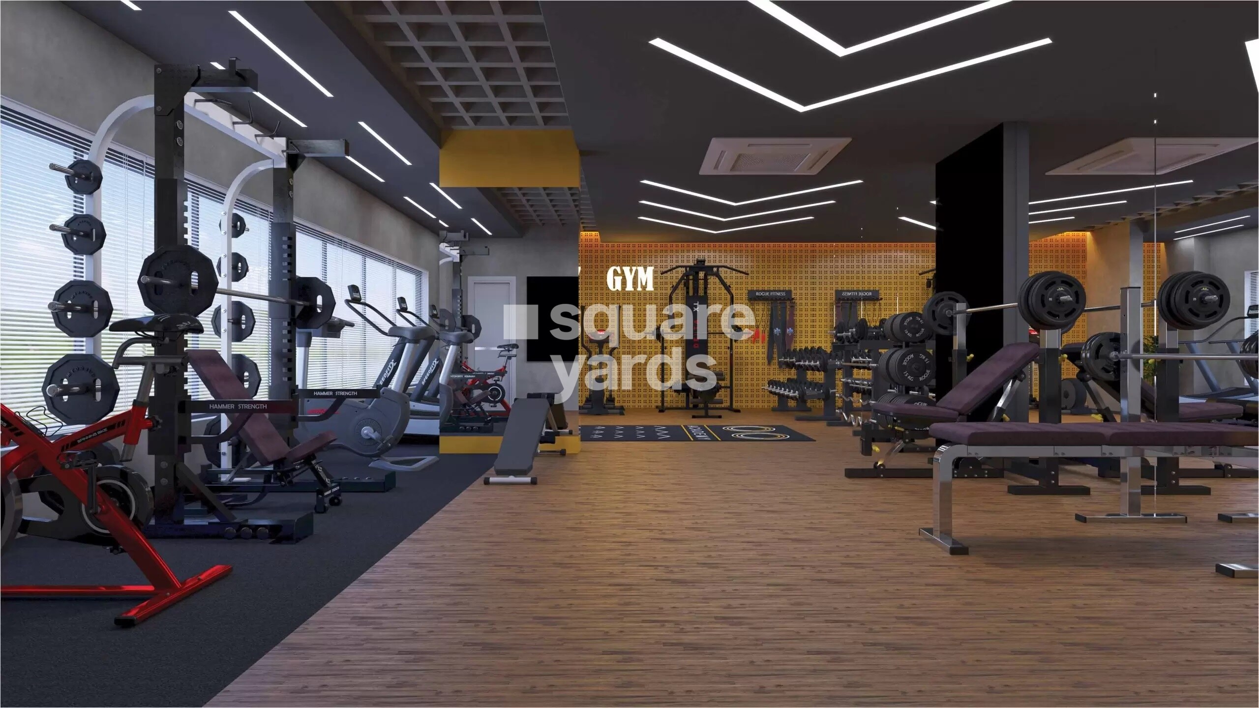 E11 Evolve Gymnasium Image