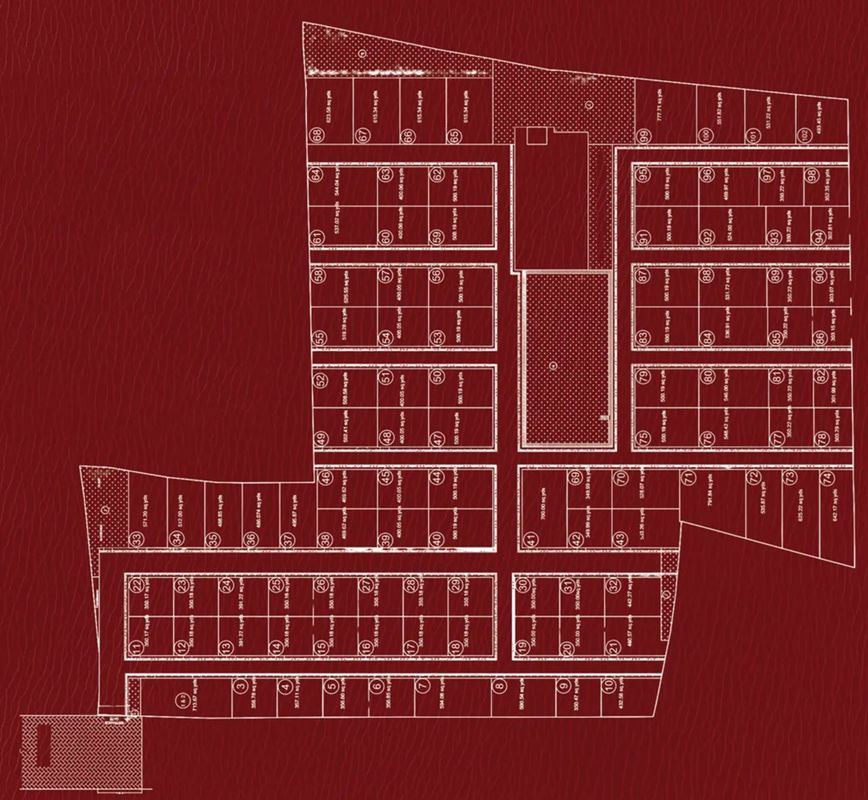 Elegant-Celosia_a red and white photo of a keyboard