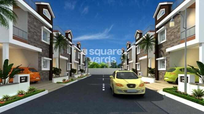 Fortune Binjrajka Nest