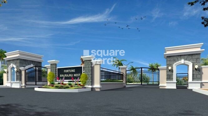 Fortune Binjrajka Nest