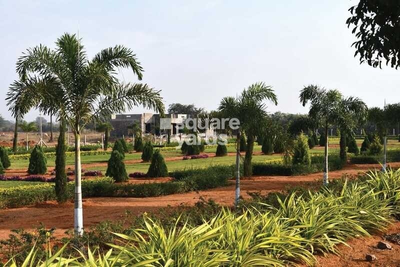 Fortune Butterfly City Greens Image